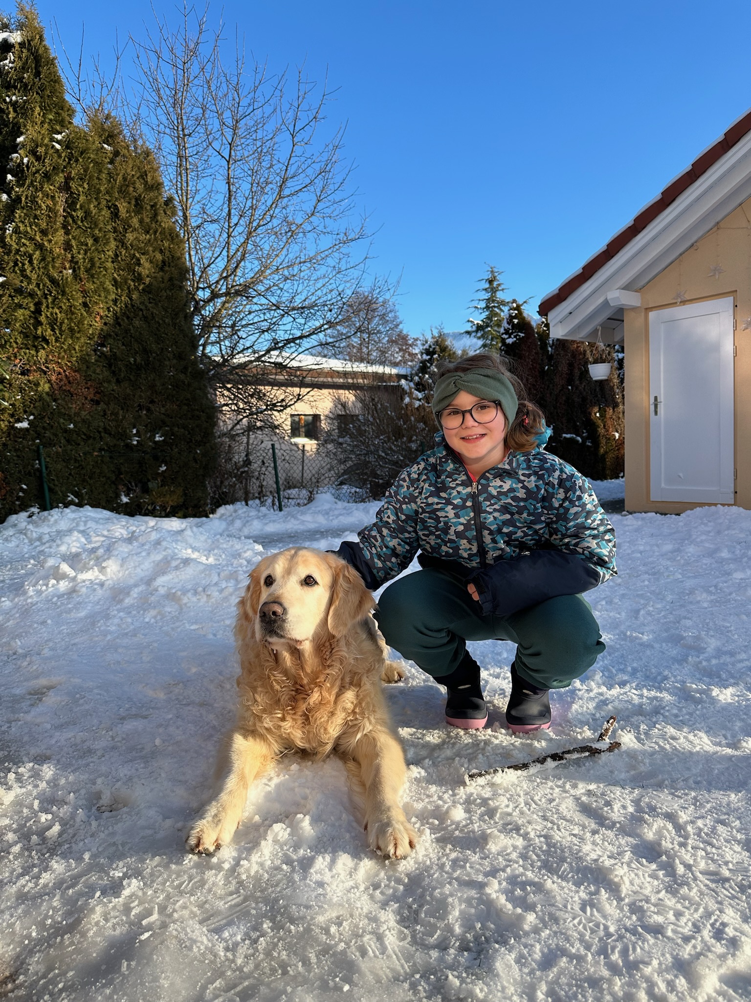 Ami du chien